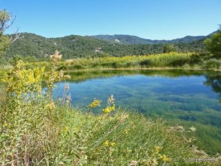 Huachuca Mountains